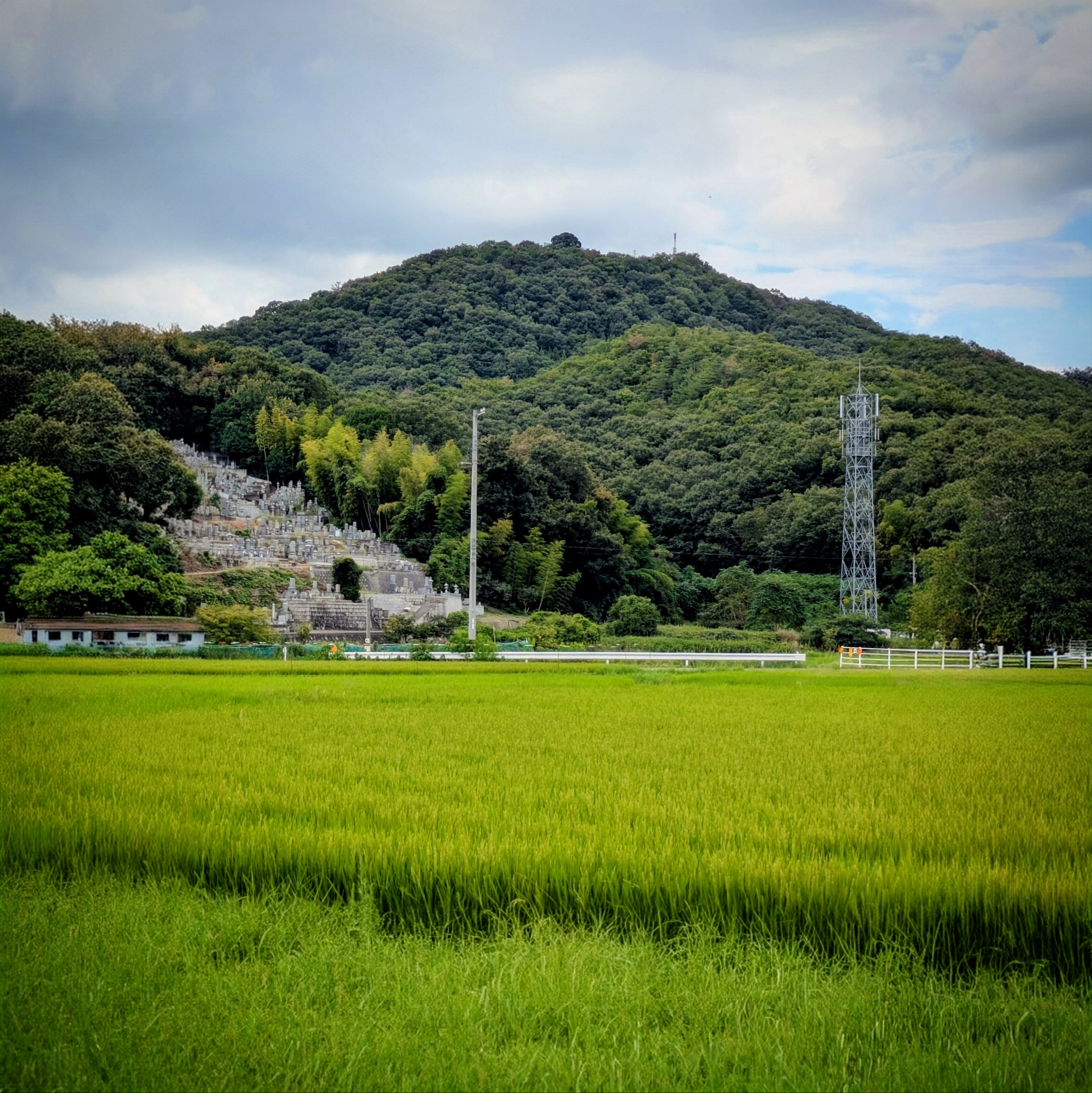 別ステージへ